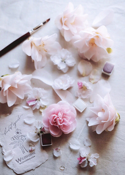 Watercolor Singles