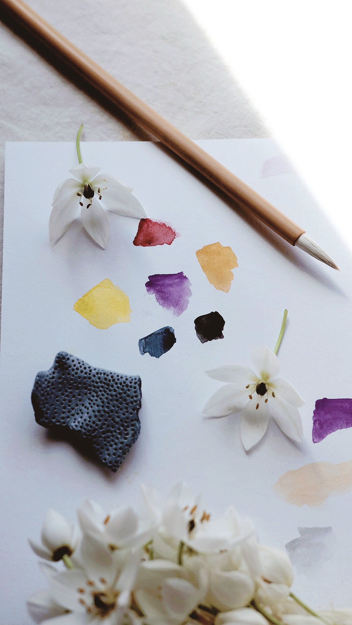 Tân Xuân ii. + Lunar mineral watercolor palette