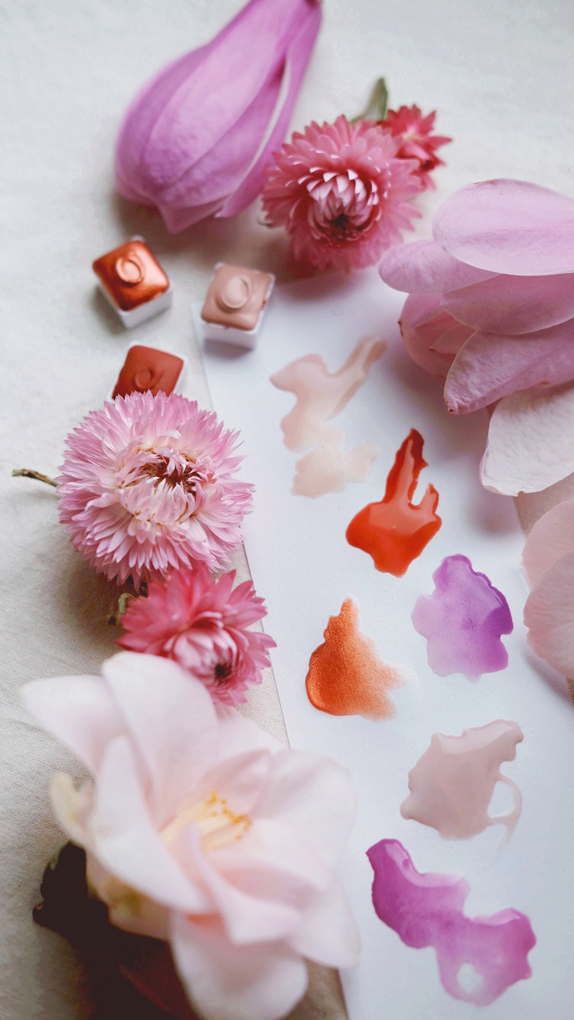 Spring Blossom ii. + Limited edition watercolor palette