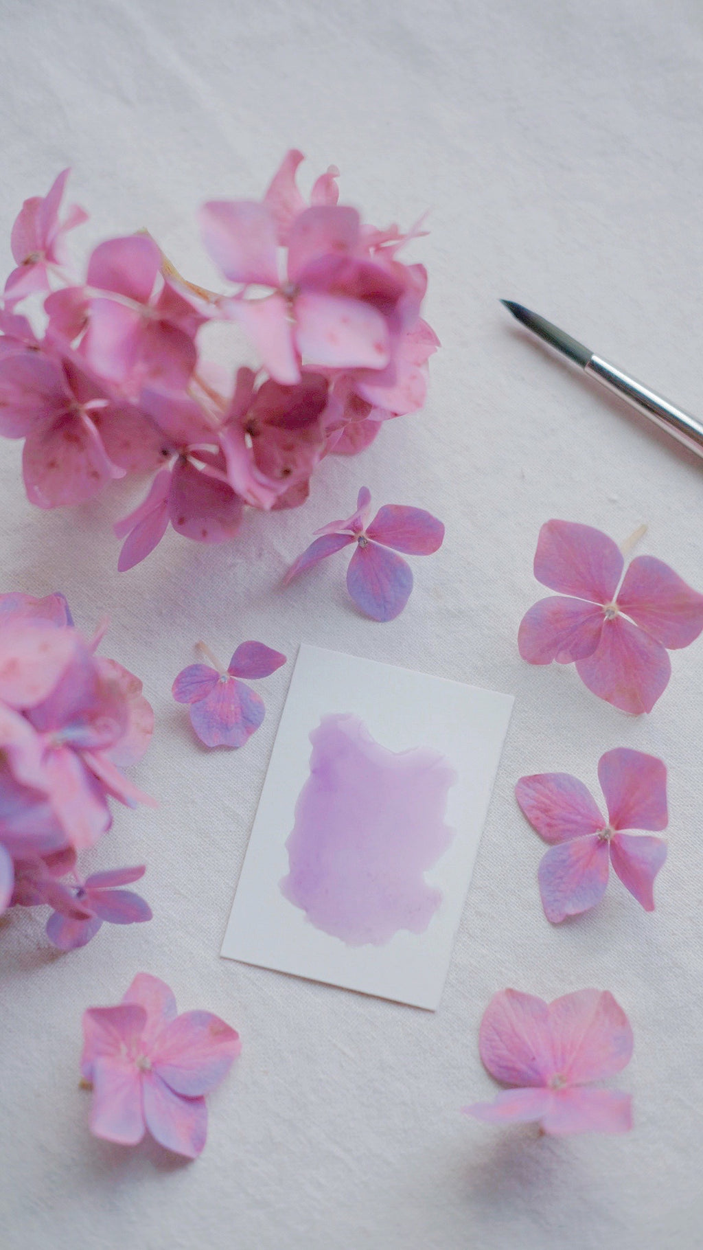 Pansy + mineral watercolor
