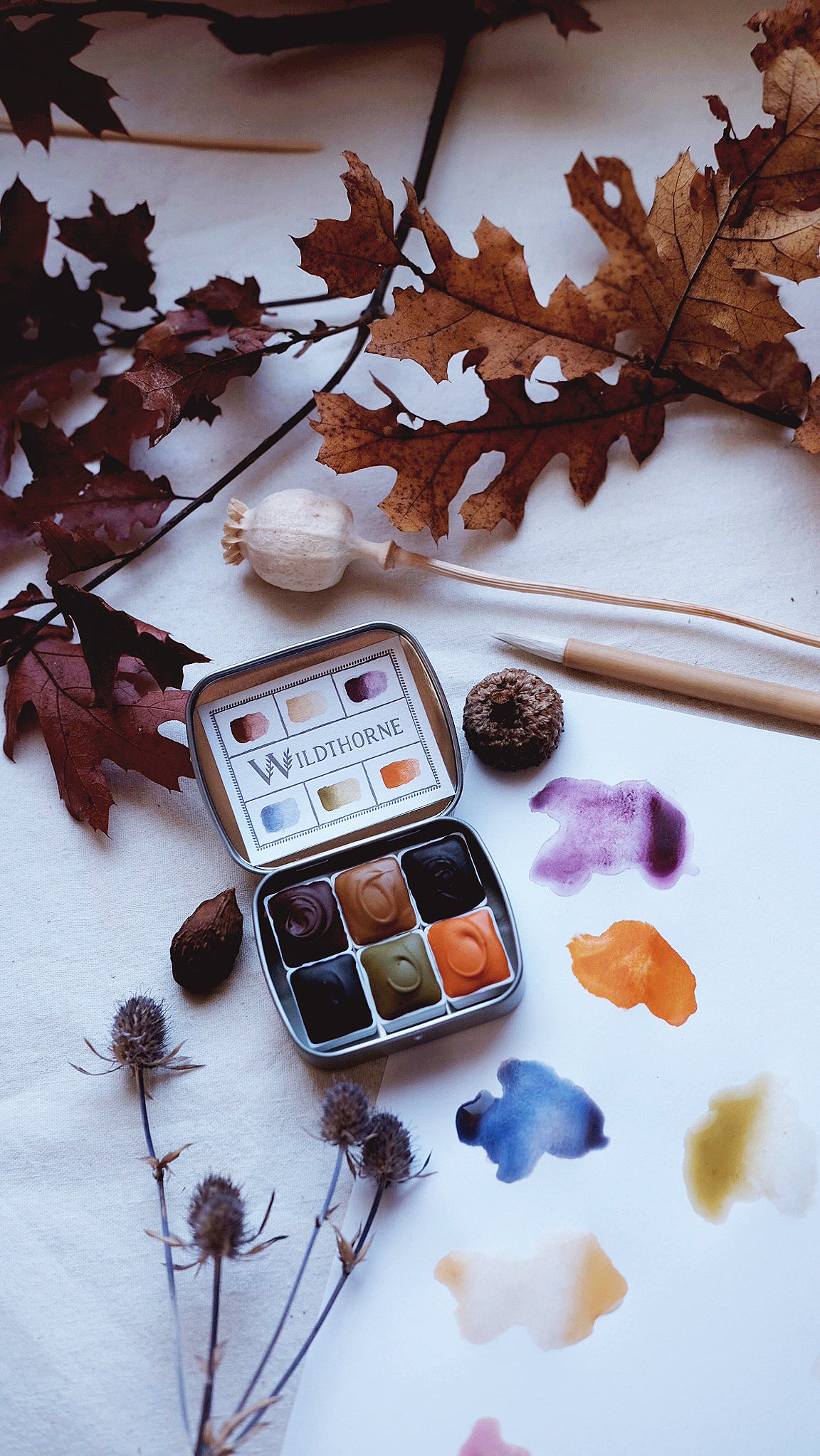 Kestrel + limited edition mineral watercolor palette