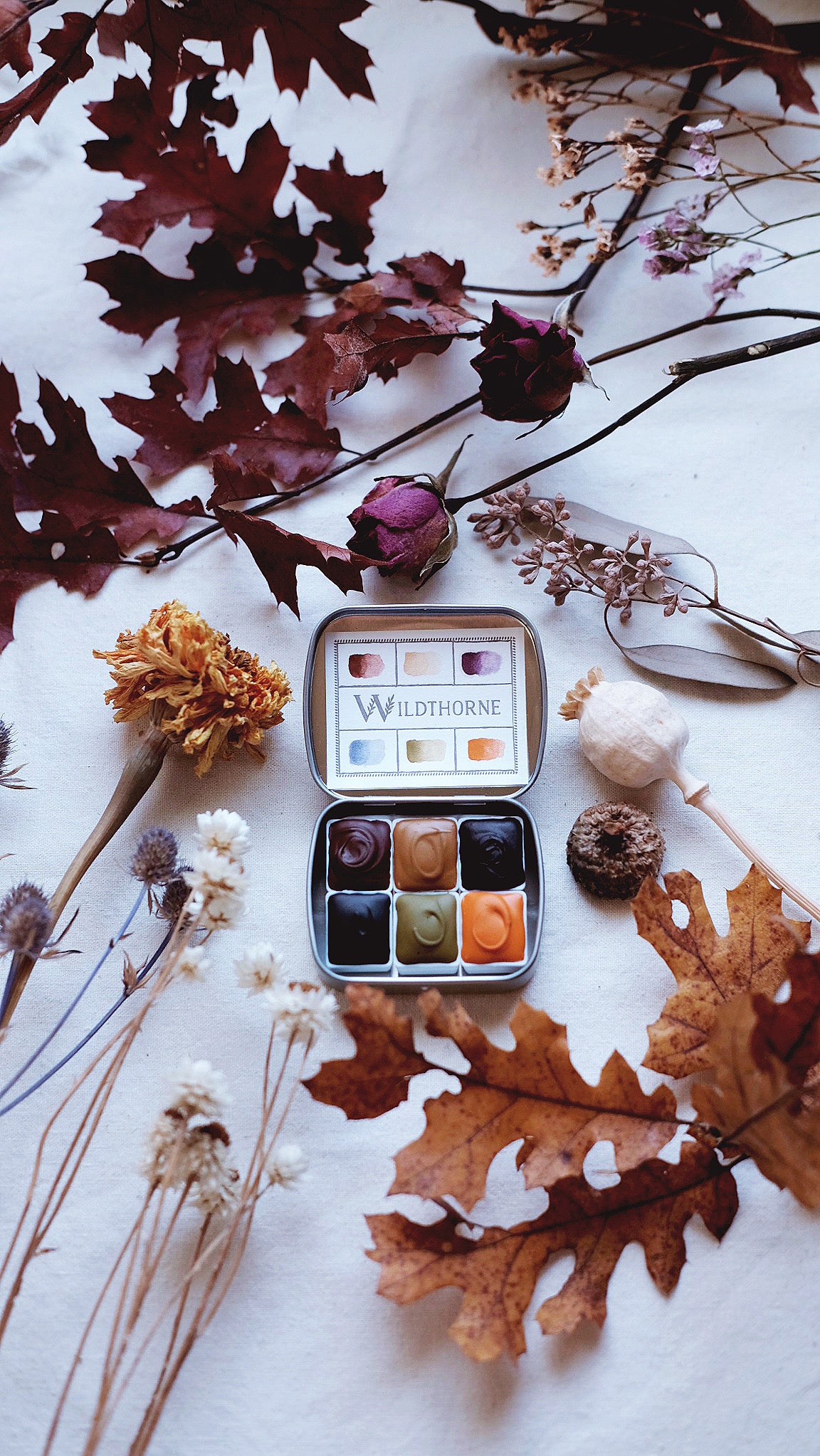 Kestrel + limited edition mineral watercolor palette
