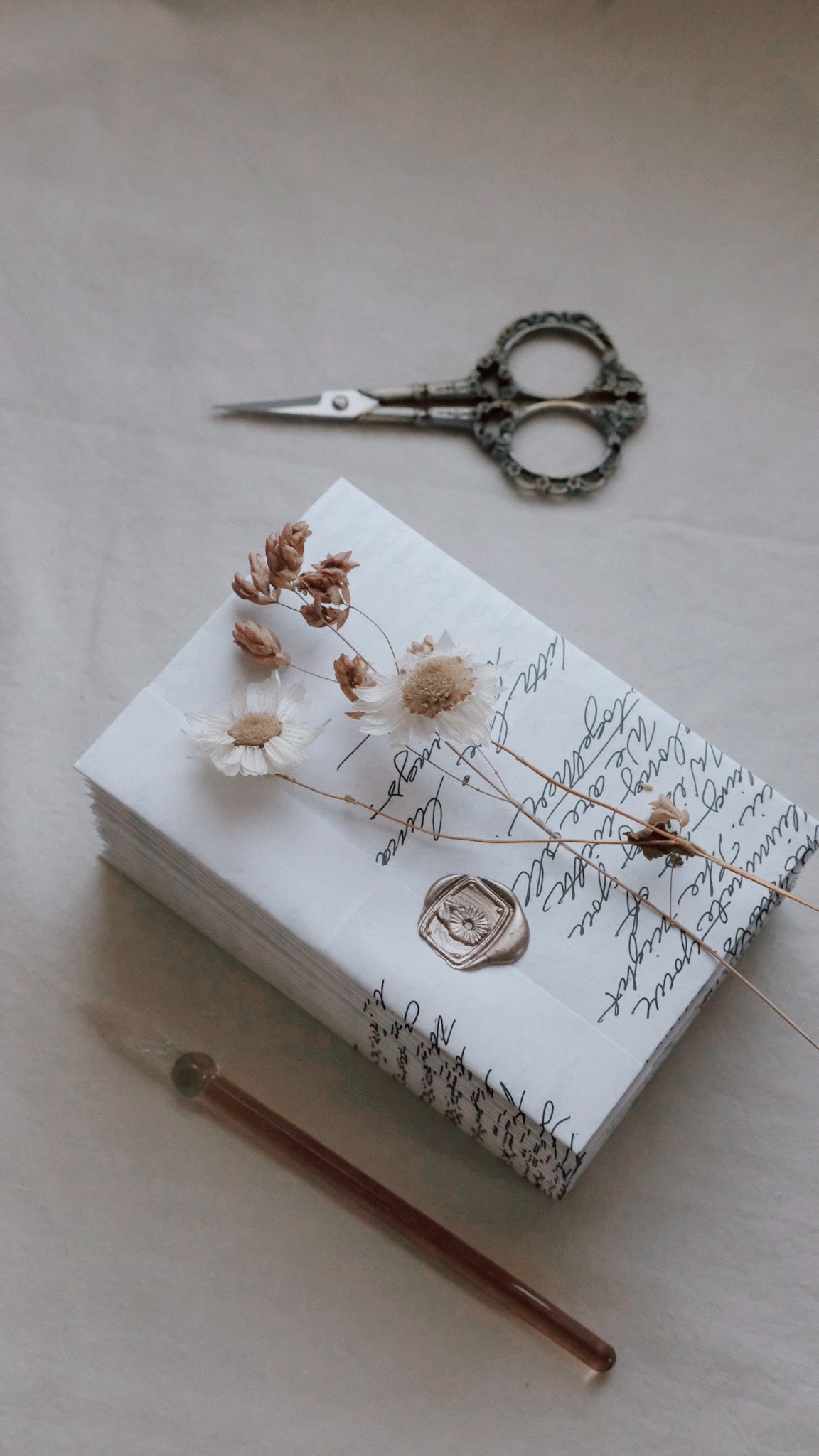 Lunar Letters: A Monthly Envelope of Wonder