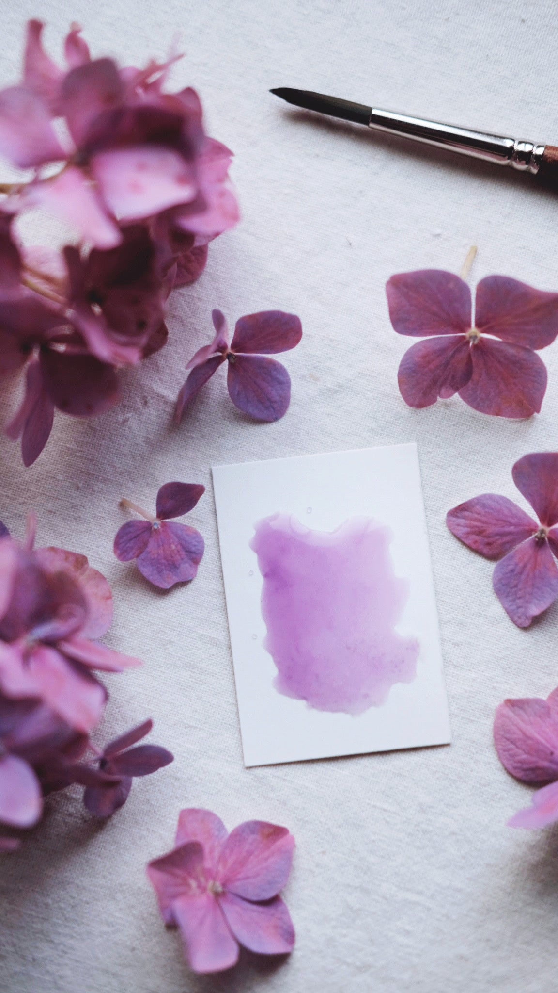 Pansy + mineral watercolor