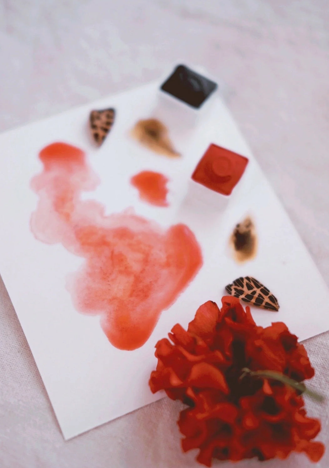 Vérité Minis + Inveigle - Petite watercolor pans