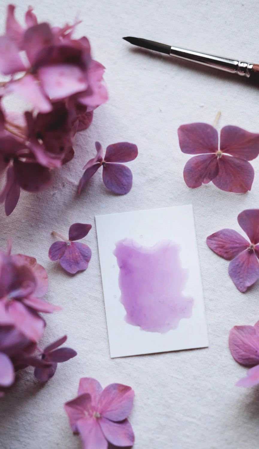 Vérité Minis + Inveigle - Petite watercolor pans