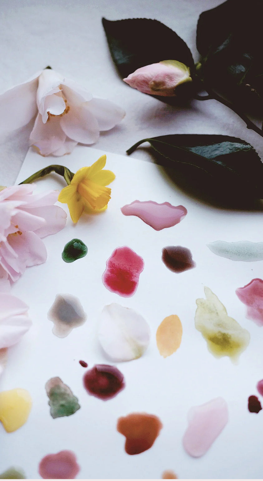 Vérité Minis + Inveigle - Petite watercolor pans
