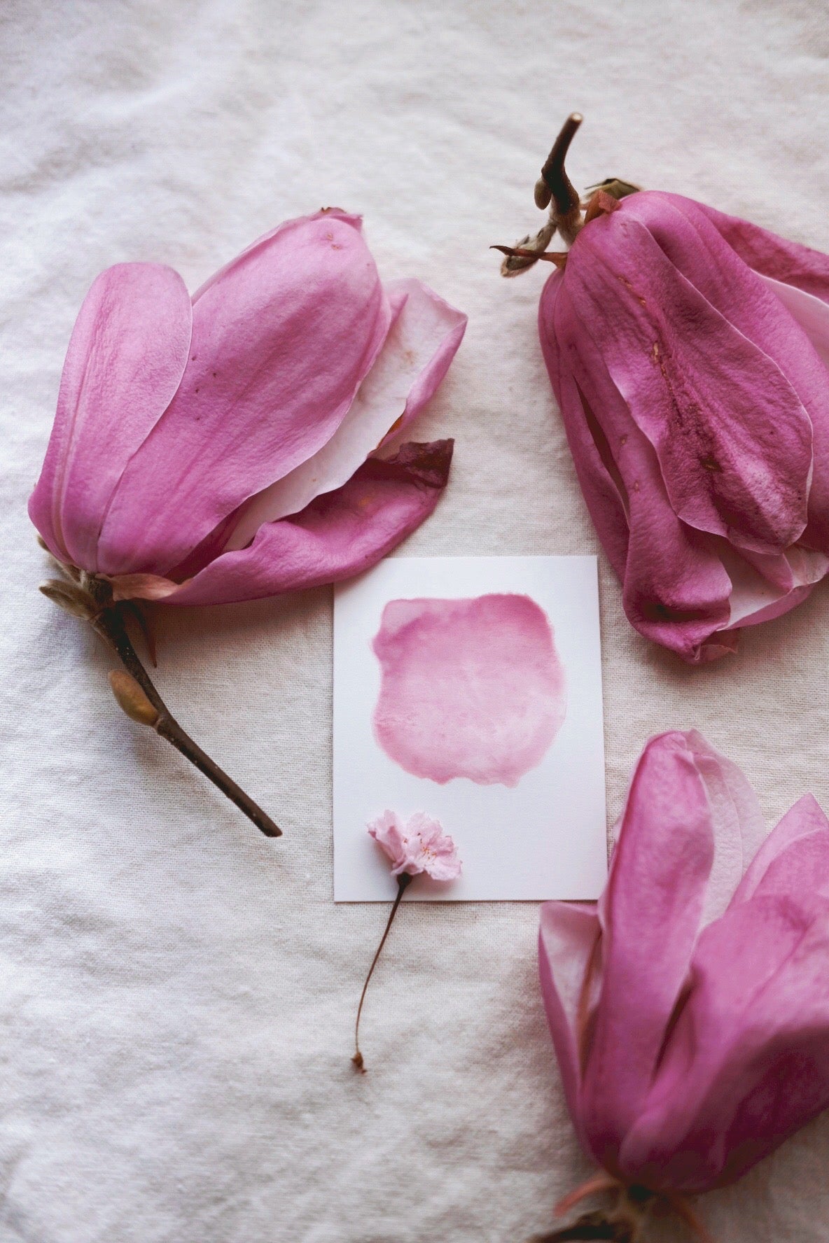 RESERVE for Susan + Custom mineral watercolors