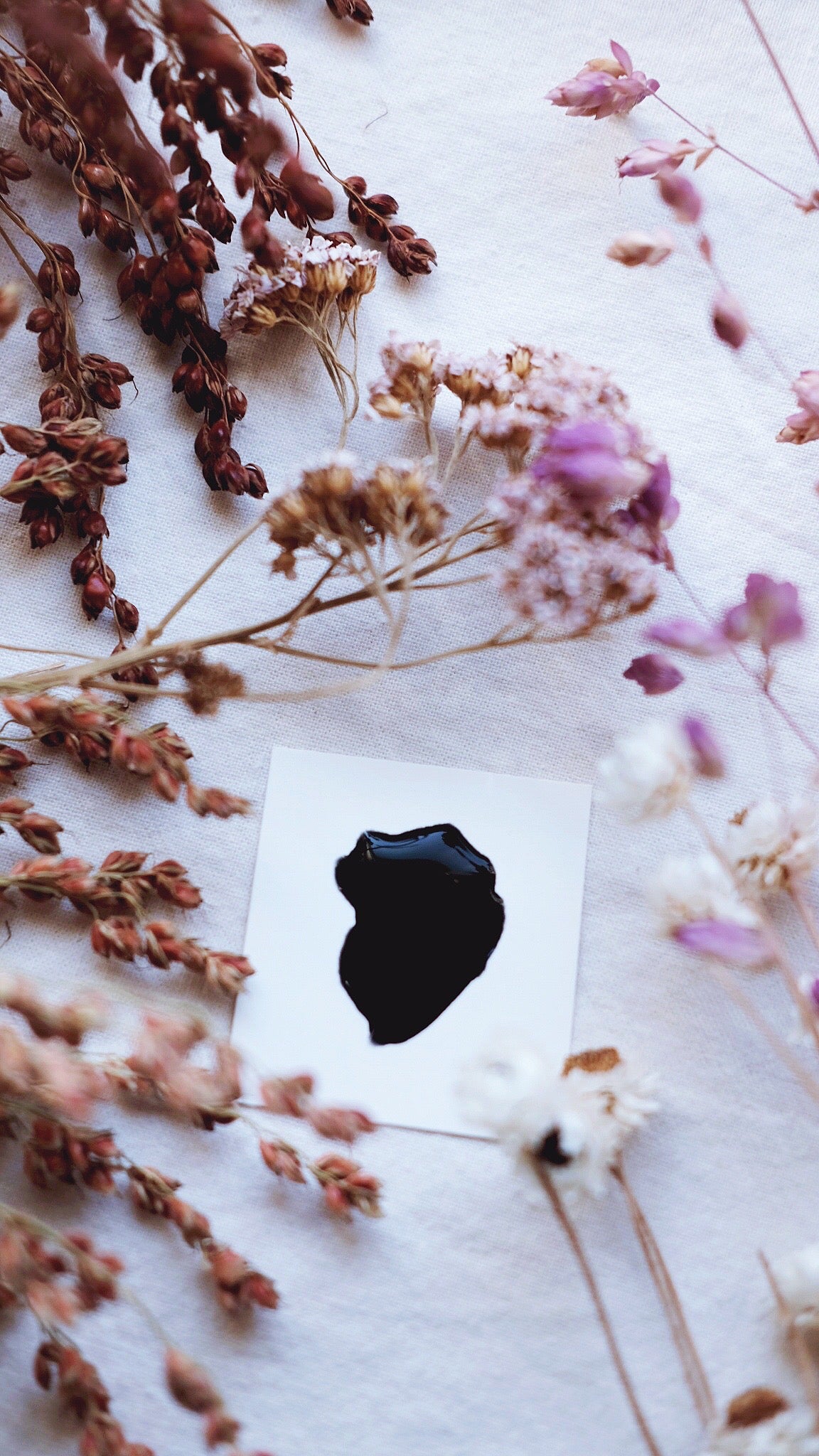 Bat Wing
