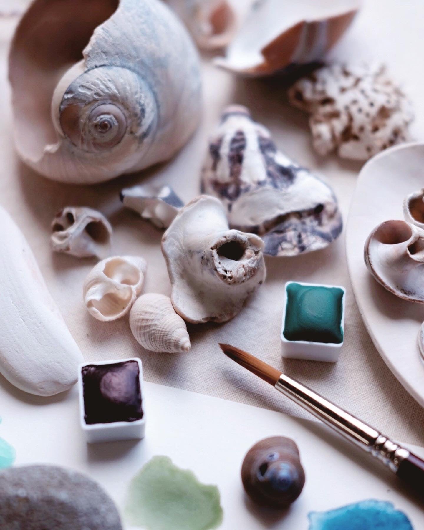 Ocean Sediment + Mineral watercolor palette