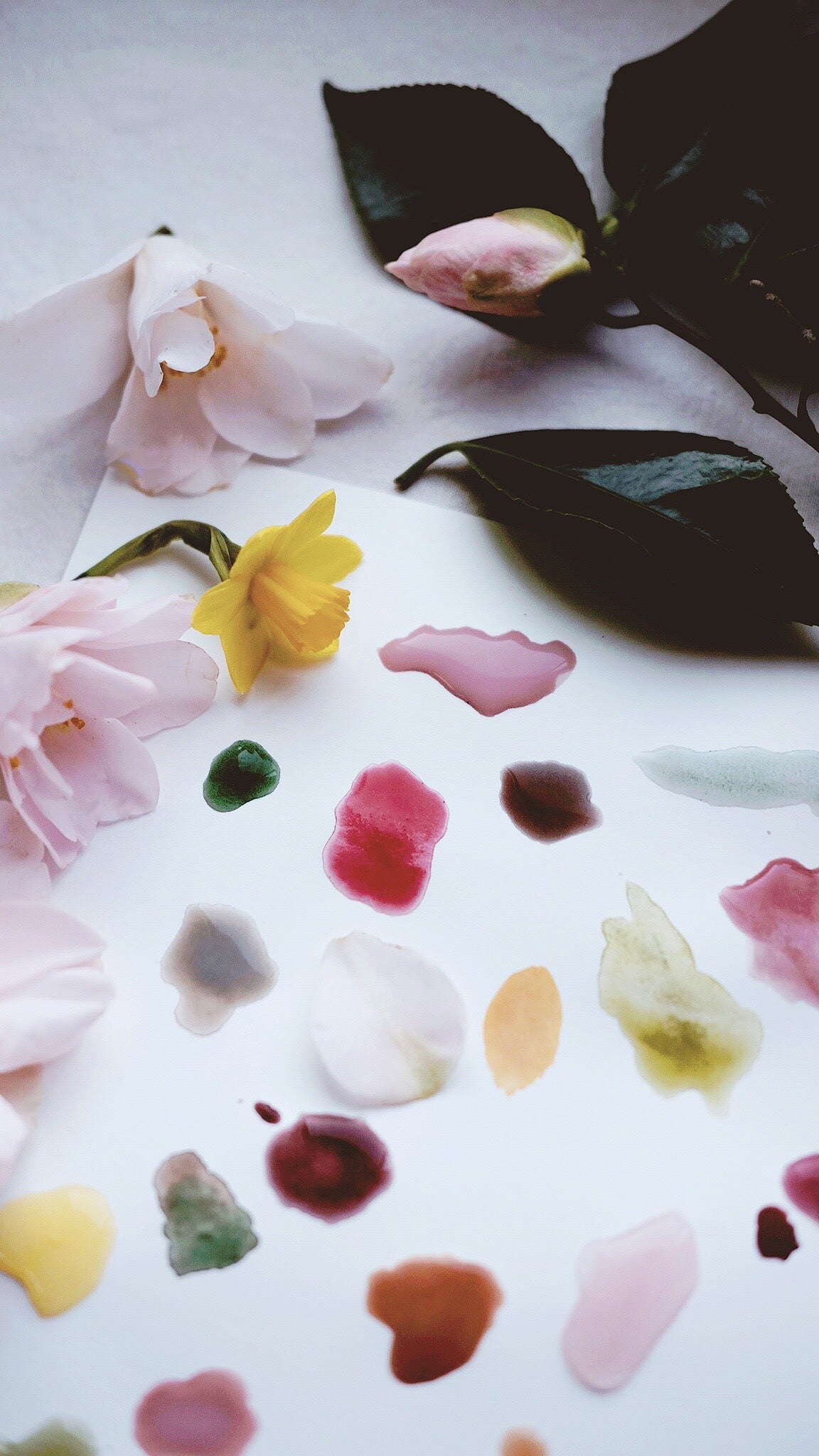 RESERVE for Catherine + Custom watercolors