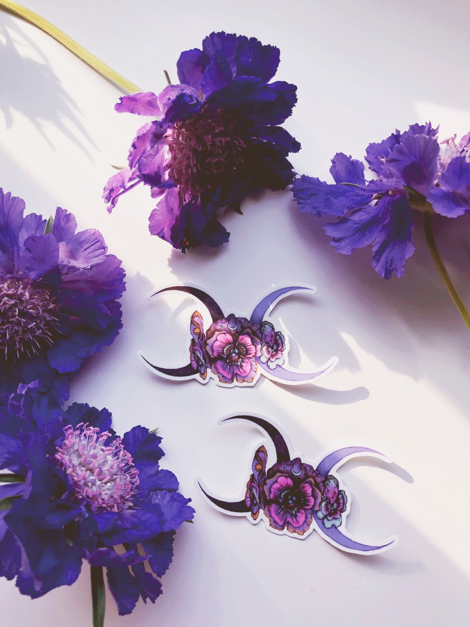 RESERVE for Sonia + Ruby Dahlia Society custom order