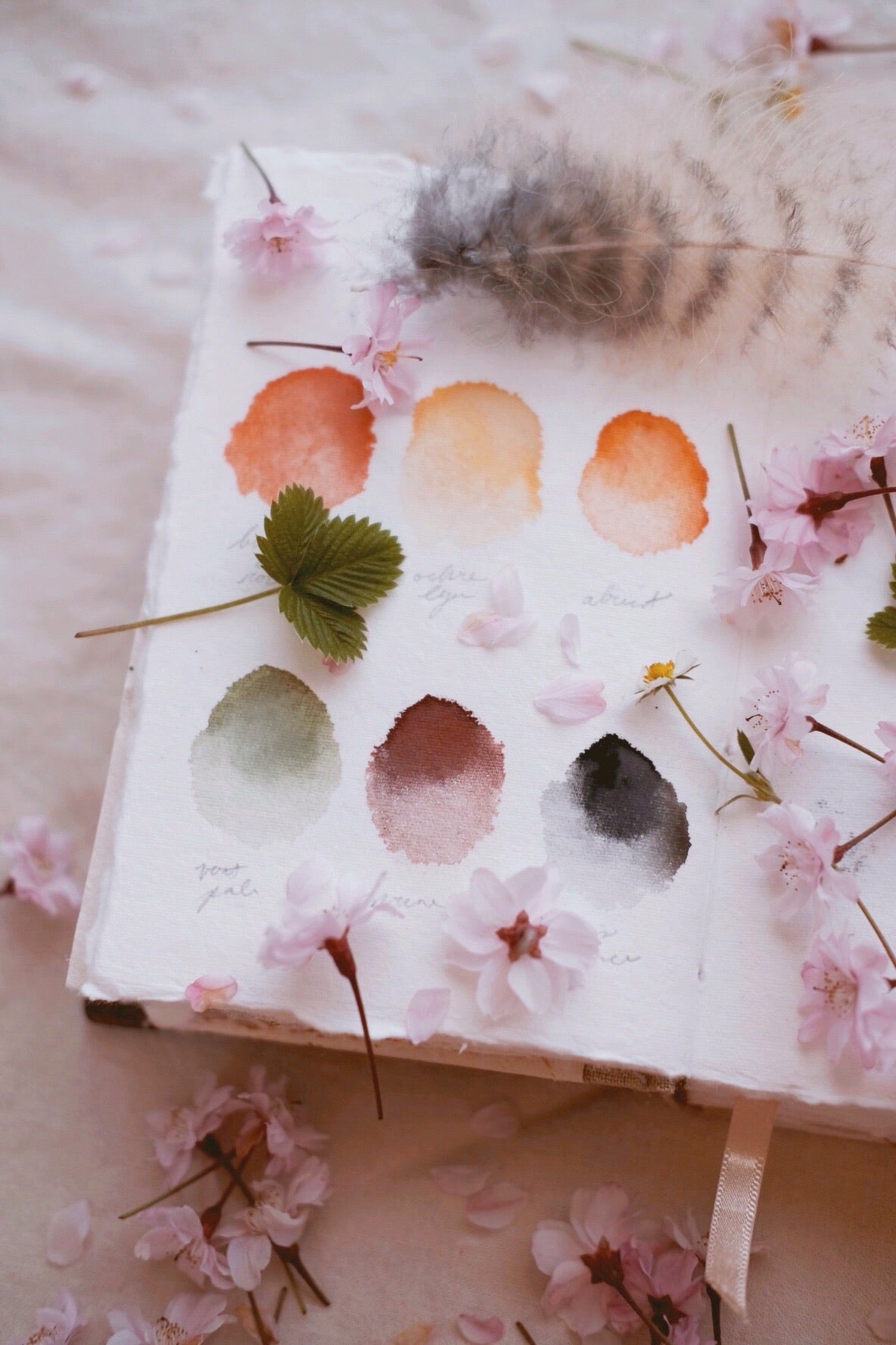 Minéral terrestre - Earth Mineral watercolor palette