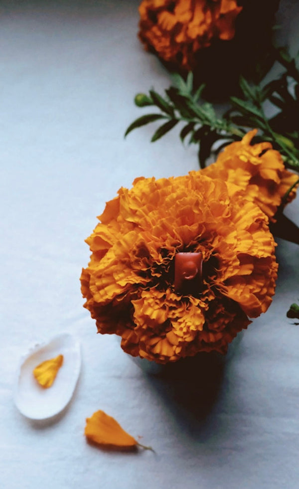 Winding Colours on a Flower Spindle