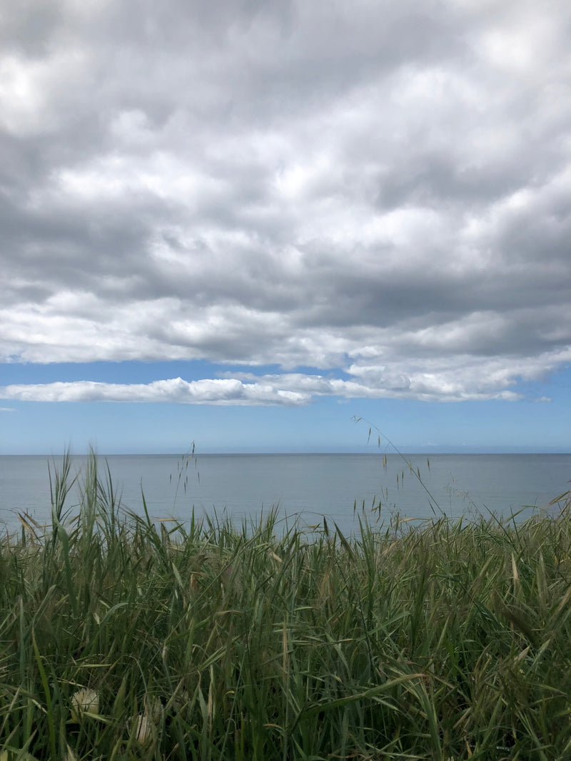 At the Turning of the Light