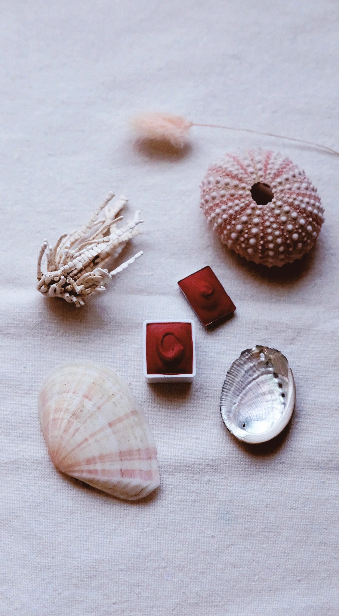 Vérité Minis + Coral Bells - Petite watercolor pans