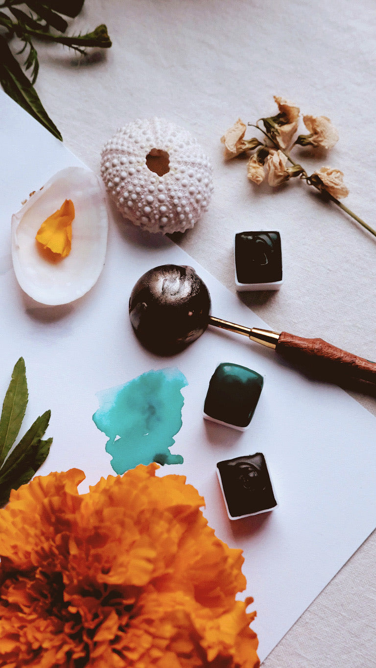 Echeveria + mineral watercolor