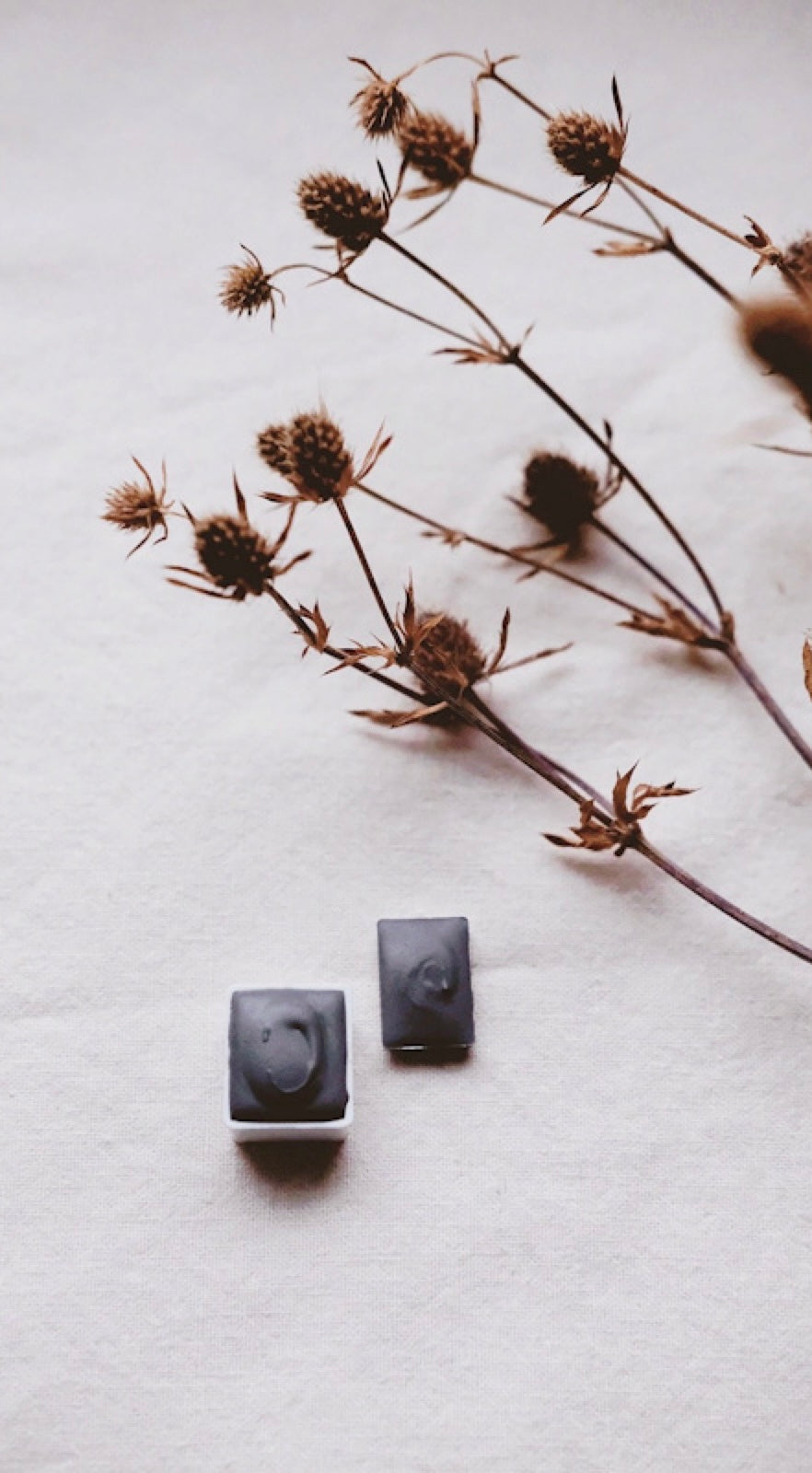 Lavender Cotton +  mineral watercolor