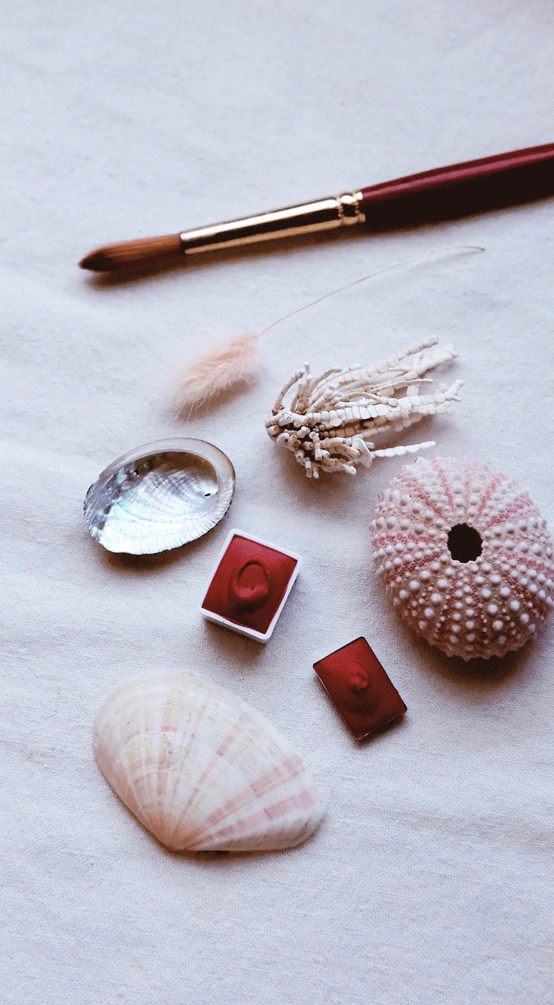 Vérité Minis + Coral Bells - Petite watercolor pans