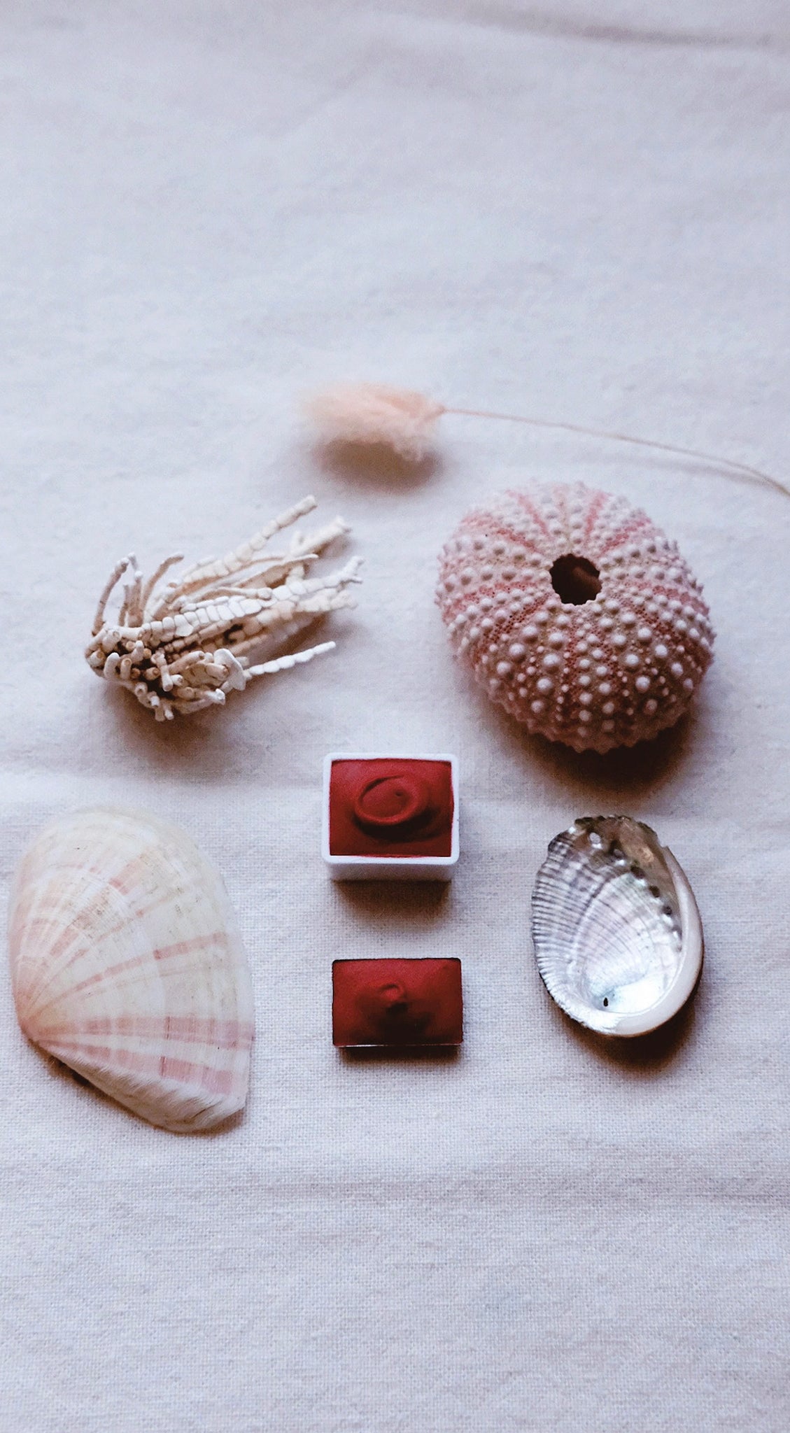 Vérité Minis + Coral Bells - Petite watercolor pans