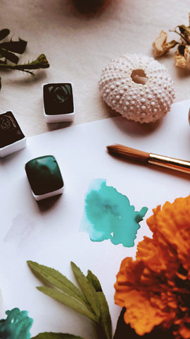 Echeveria + mineral watercolor