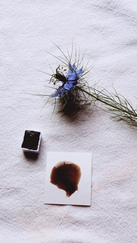 Raw Umber