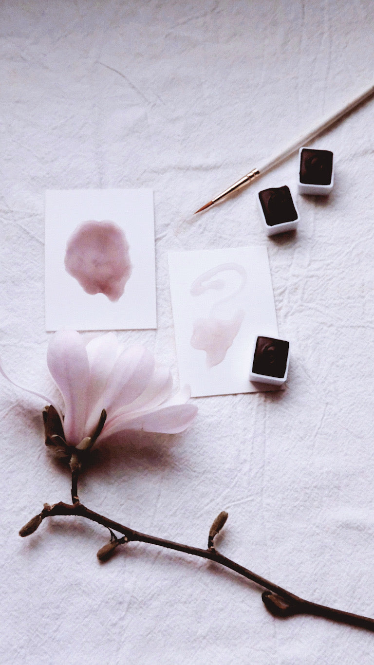 Star Magnolia
