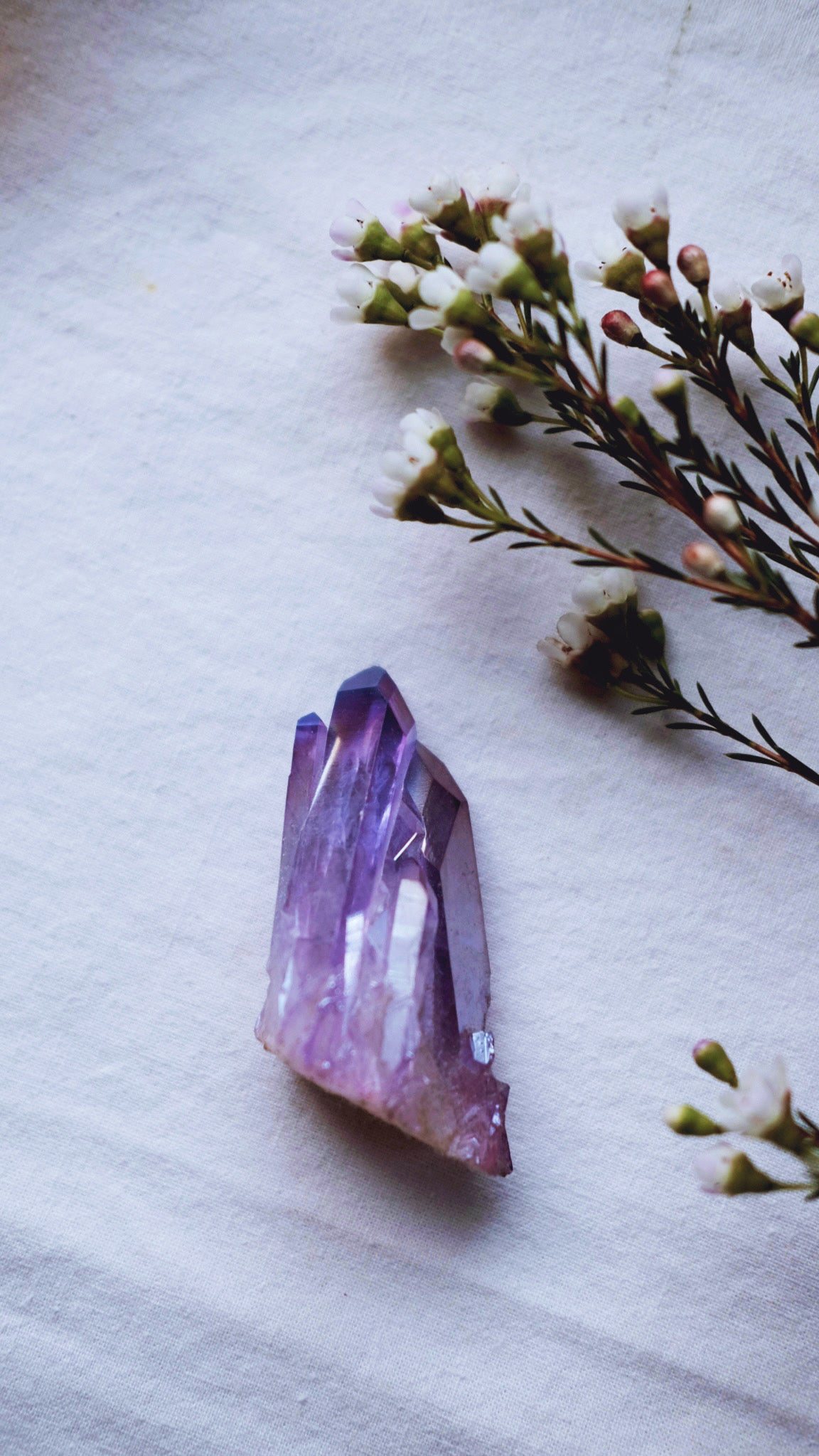 Amethyst Aura crystal cluster