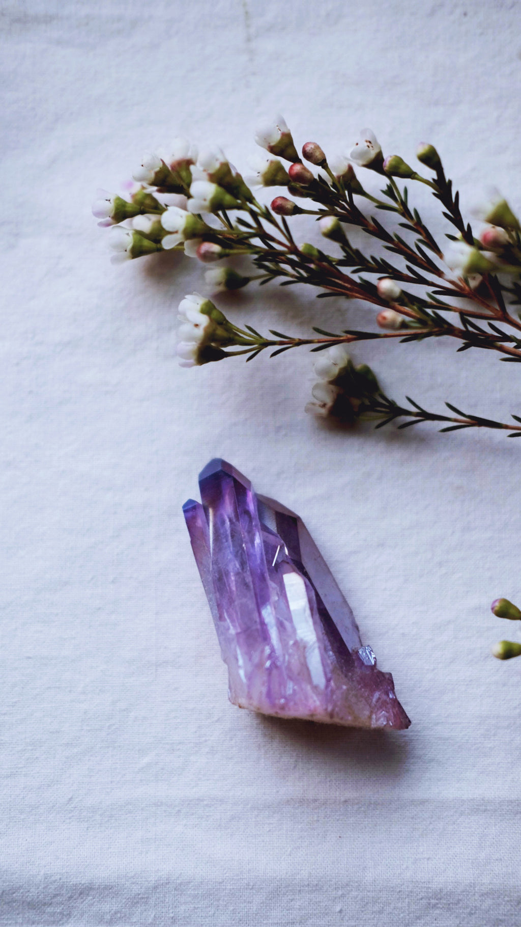 Amethyst Aura crystal cluster