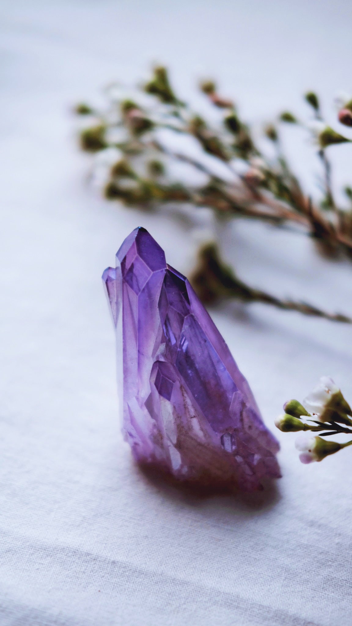 Amethyst Aura crystal cluster