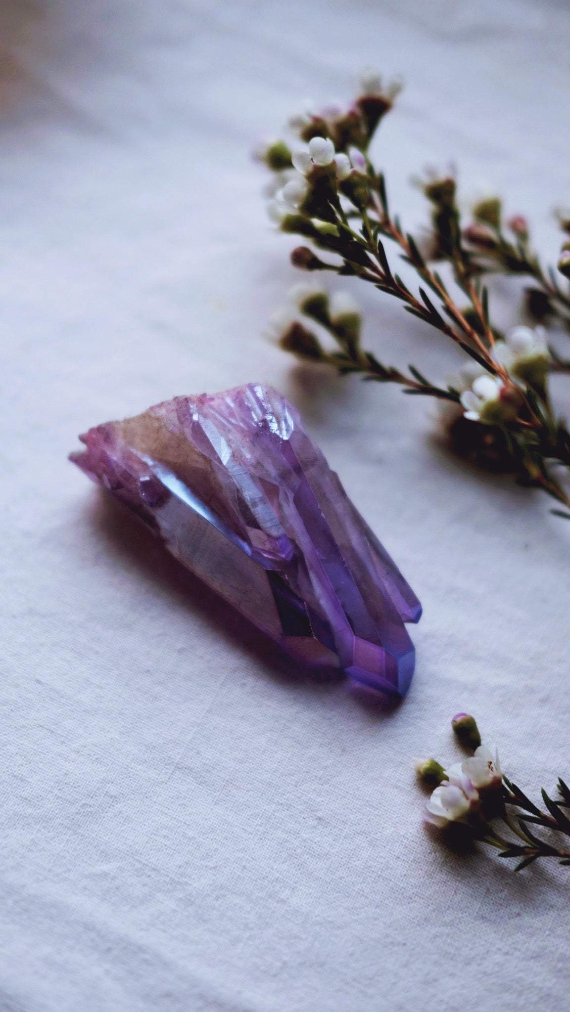 Amethyst Aura crystal cluster