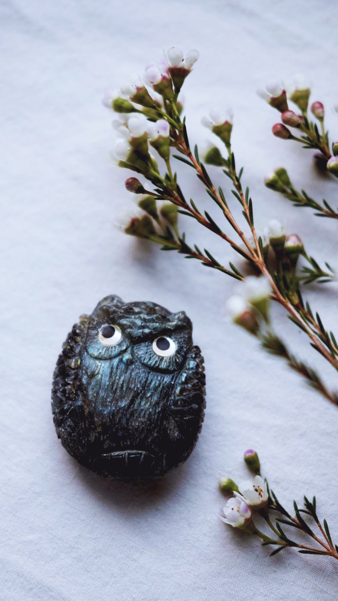 Labradorite Zuni Owl carving by Kateri Sanchez