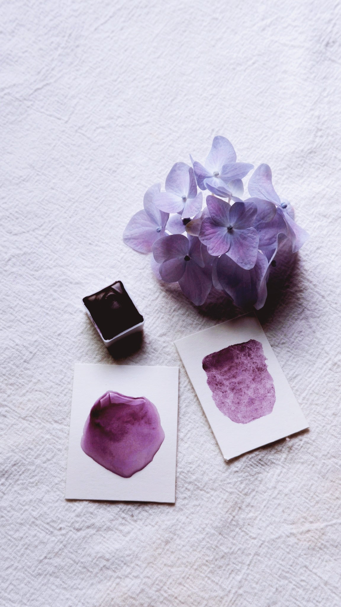 Wood Violet
