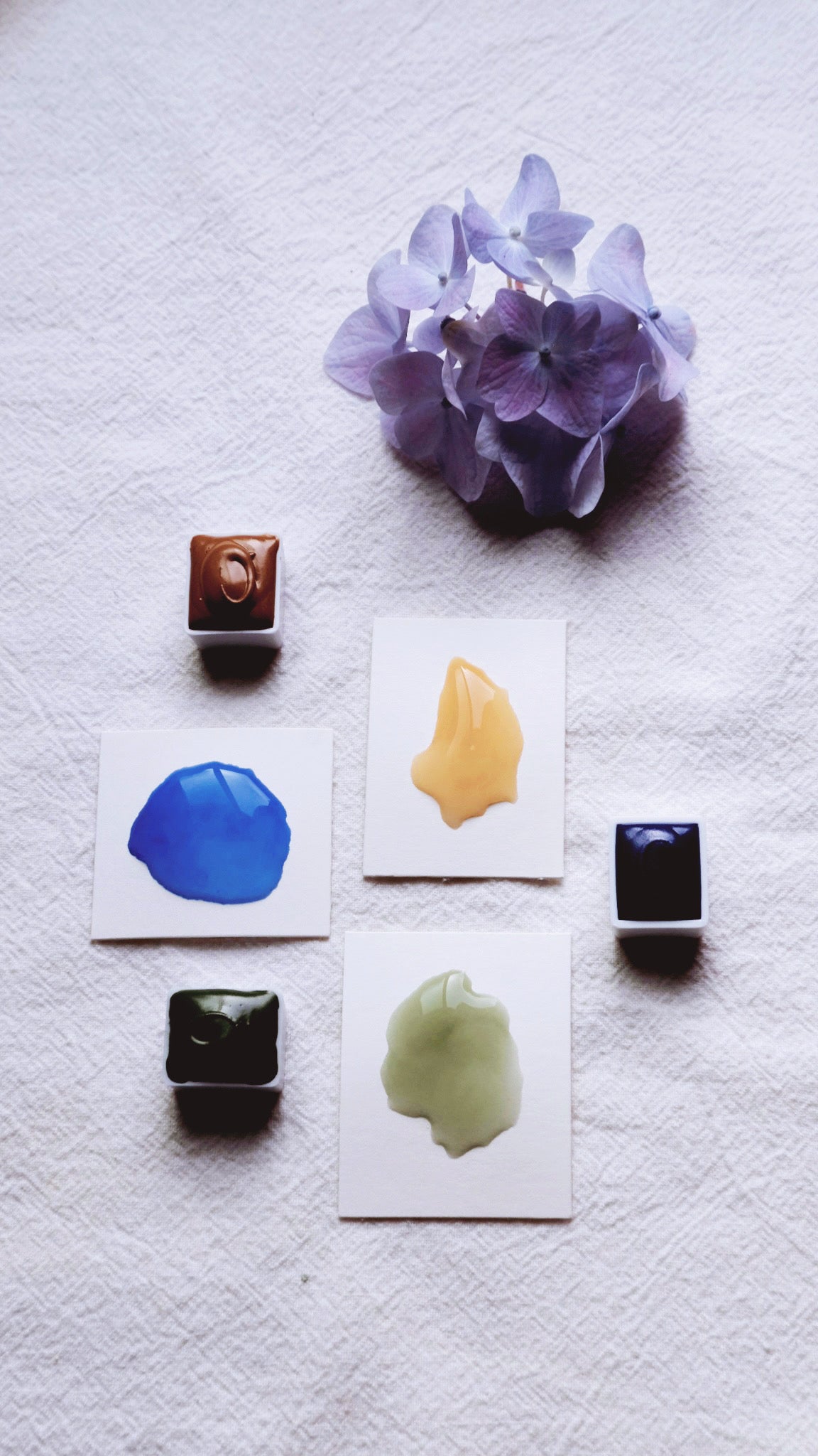 Delphinium Blue