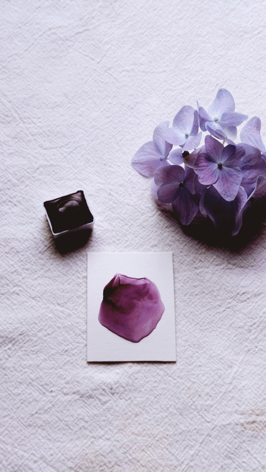 Wood Violet