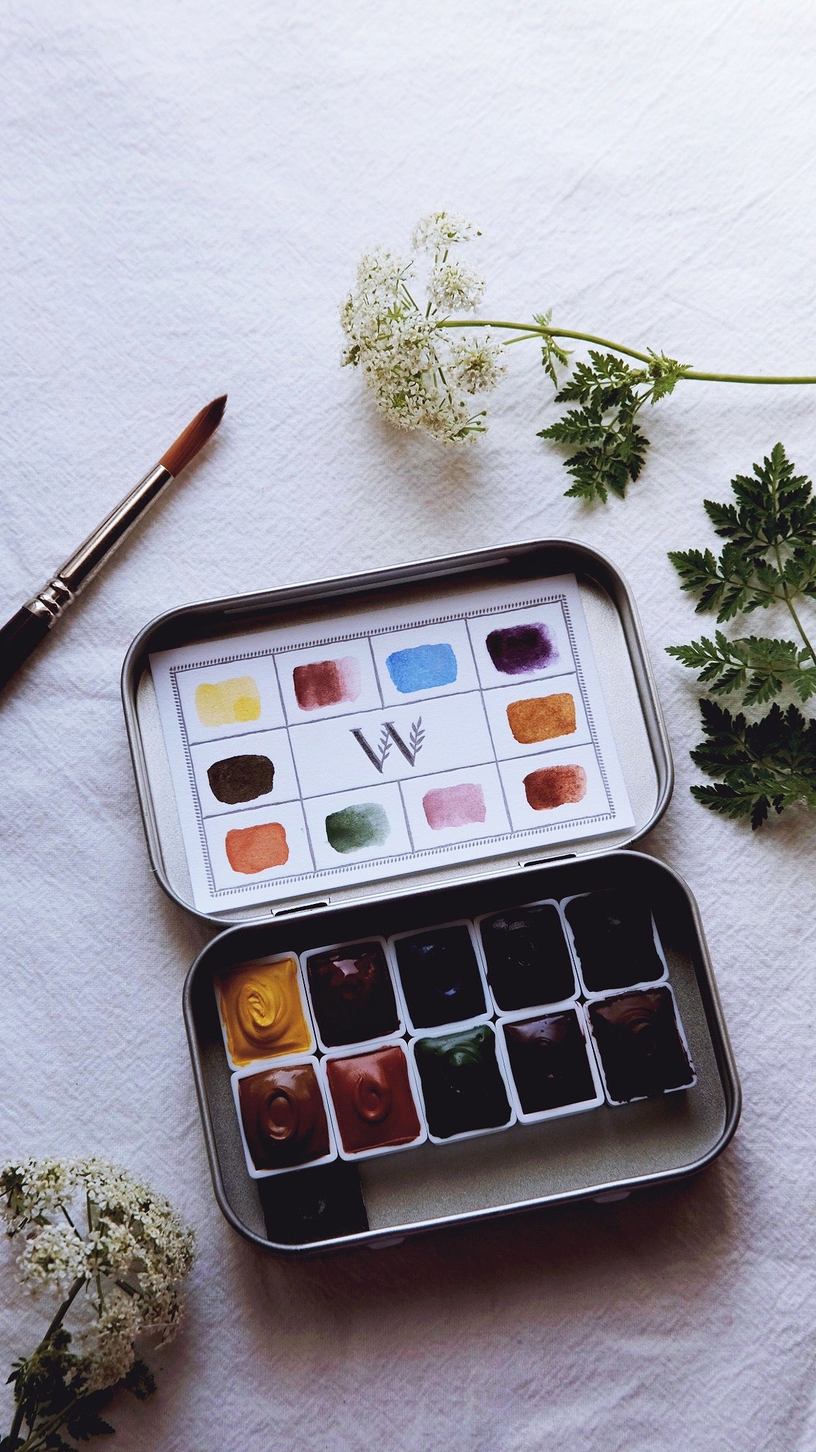 The Naturalist’s Palette