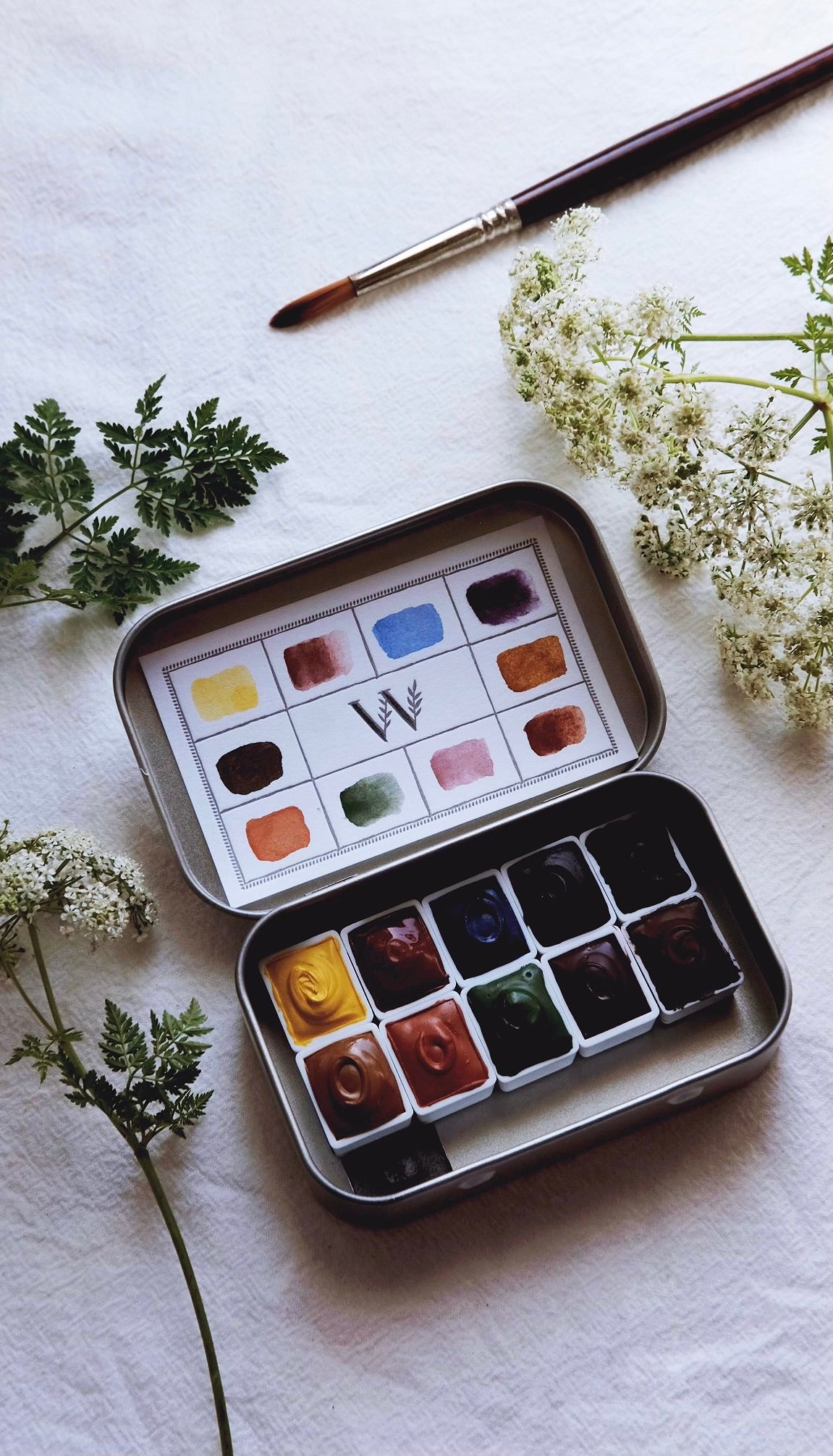 The Naturalist’s Palette