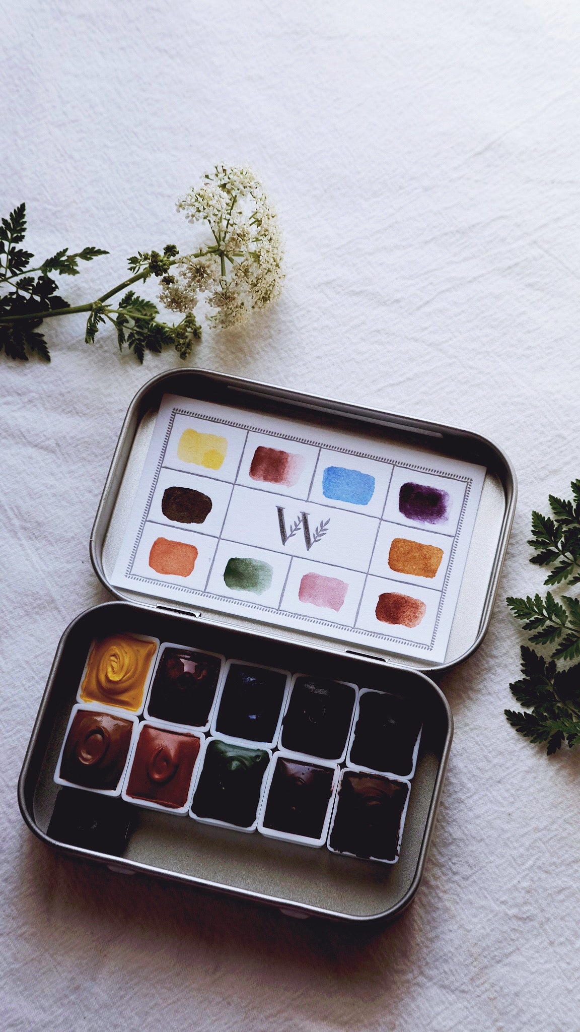 The Naturalist’s Palette