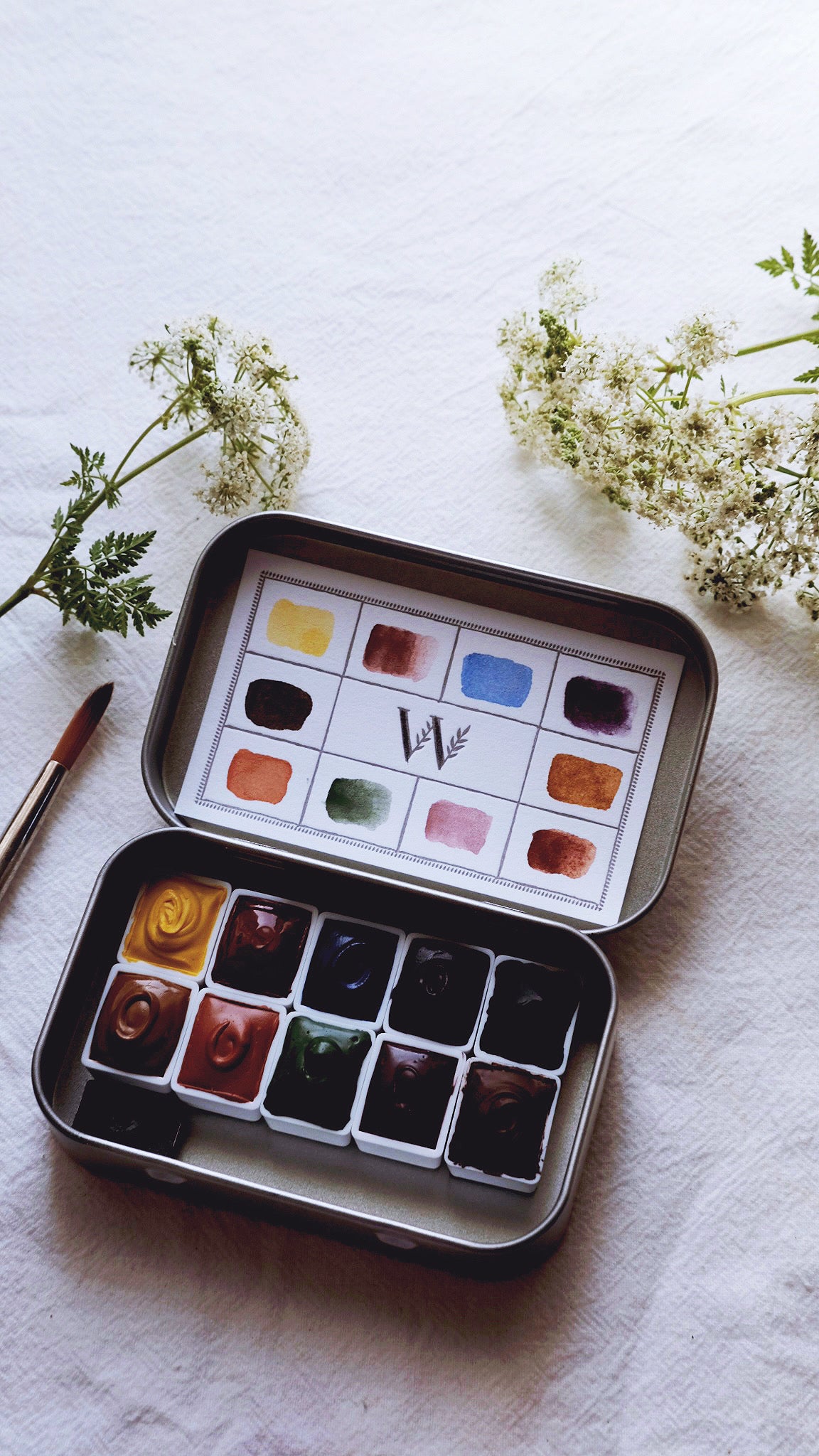 The Naturalist’s Palette
