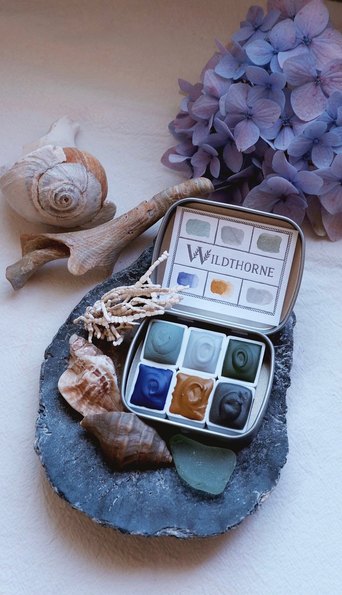 ANTHOPHILA 02 — COASTAL FOG COLLECTION