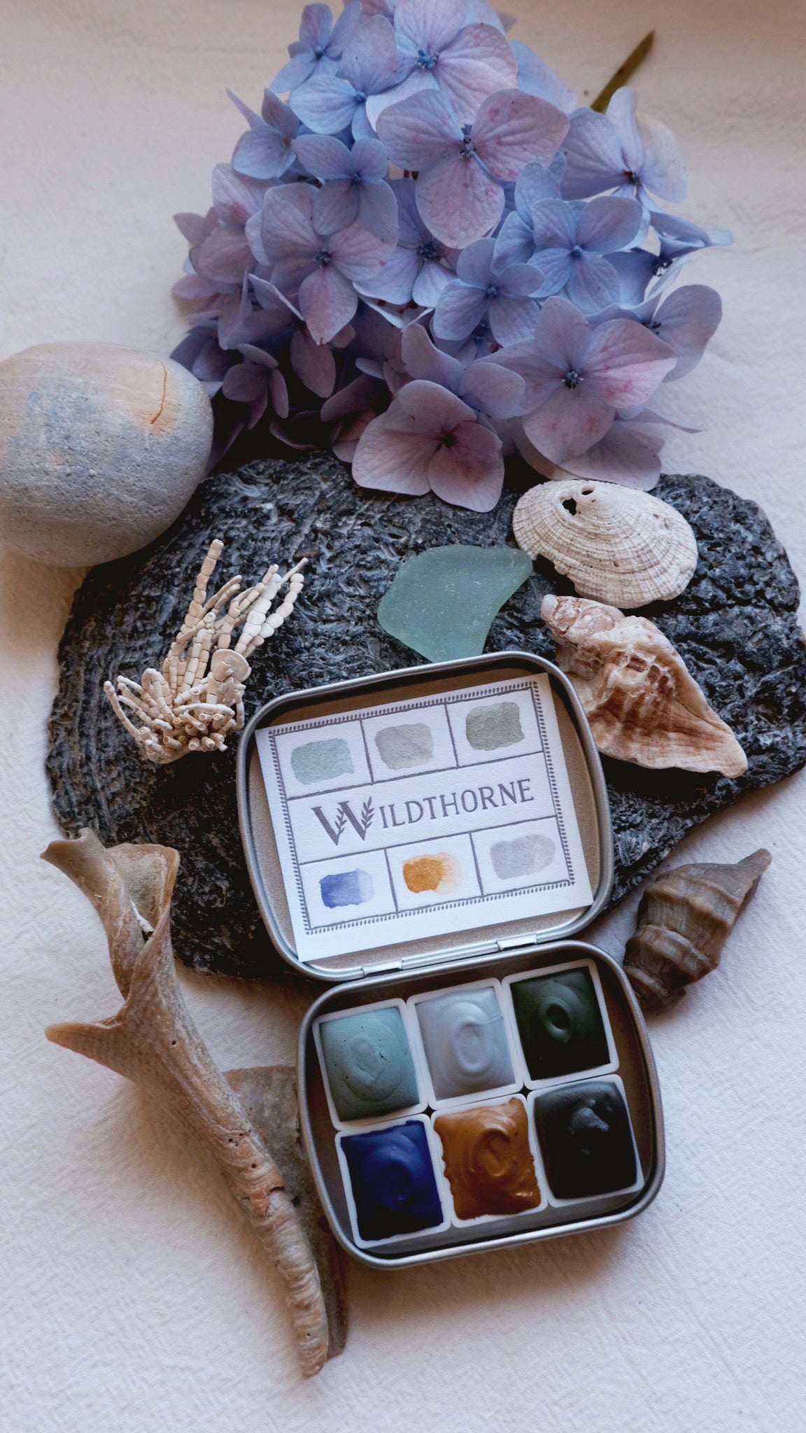 ANTHOPHILA 02 — COASTAL FOG COLLECTION