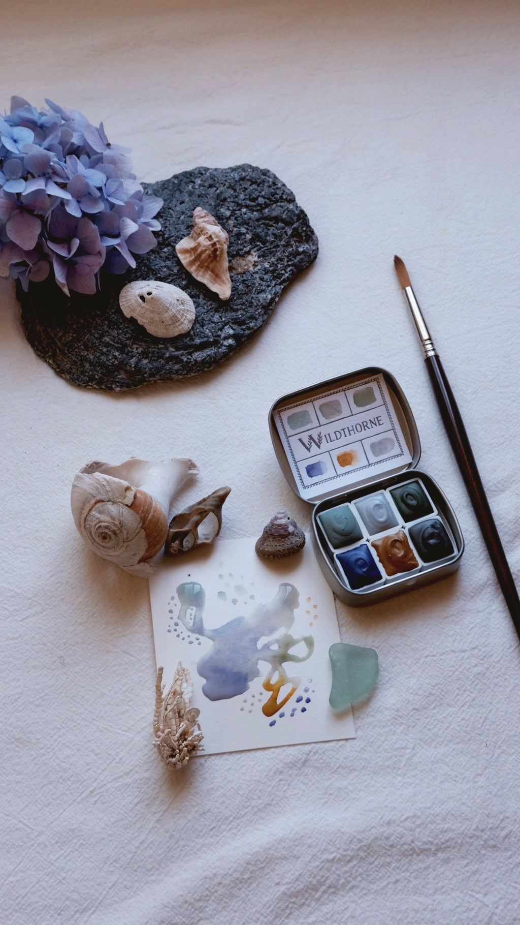 ANTHOPHILA 02 — COASTAL FOG COLLECTION