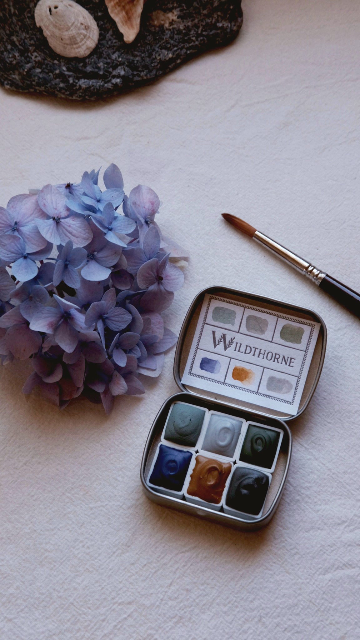ANTHOPHILA 02 — COASTAL FOG COLLECTION