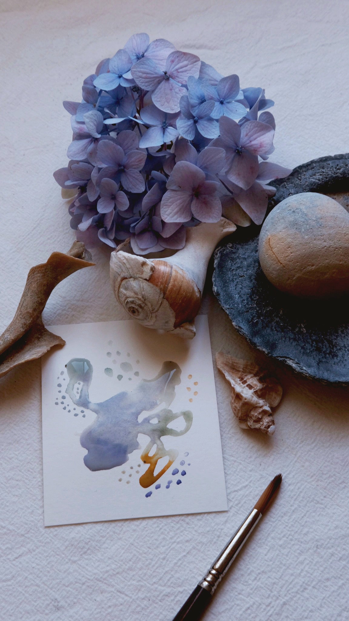ANTHOPHILA 02 — COASTAL FOG COLLECTION
