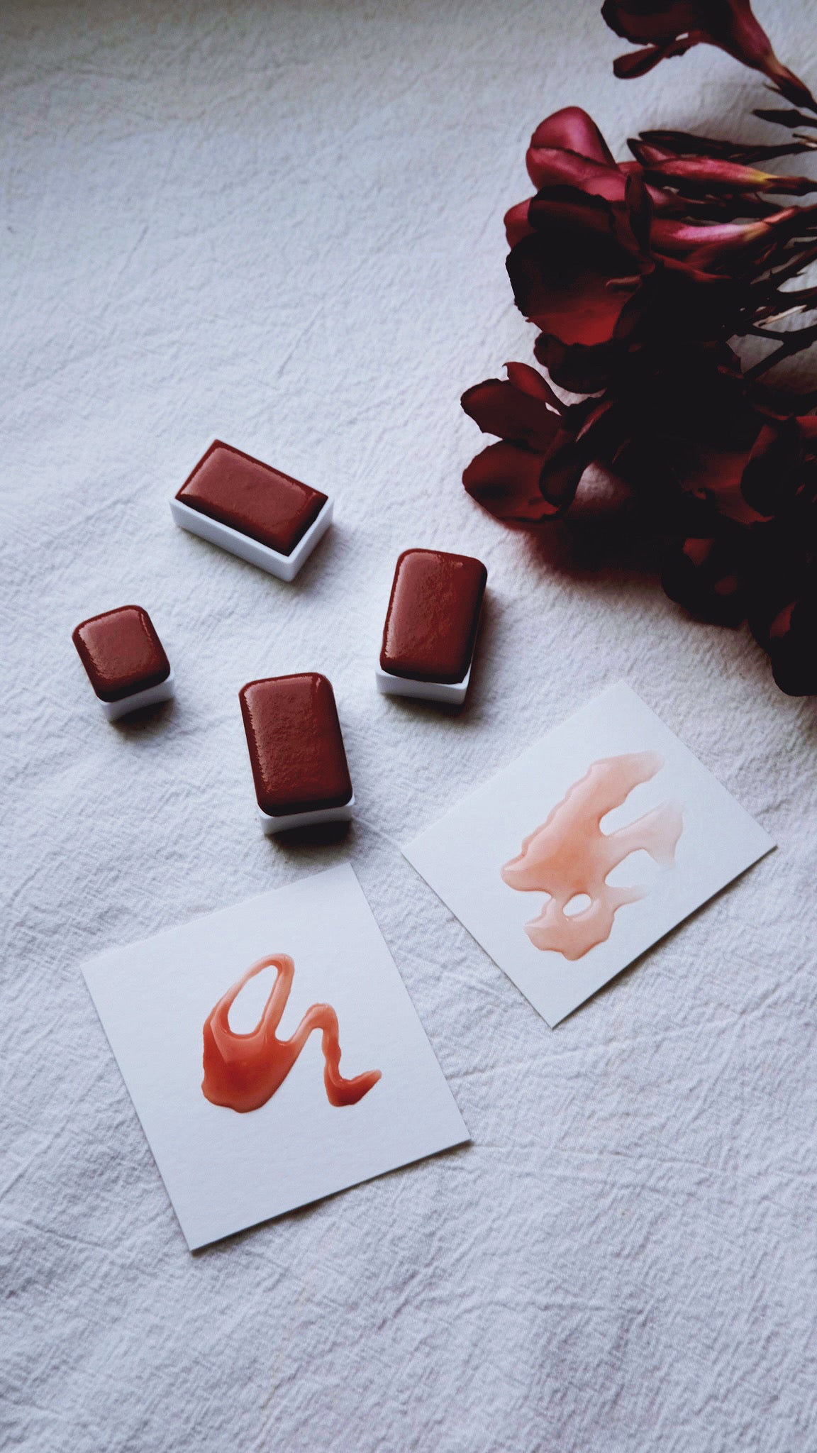 Garnet Rose