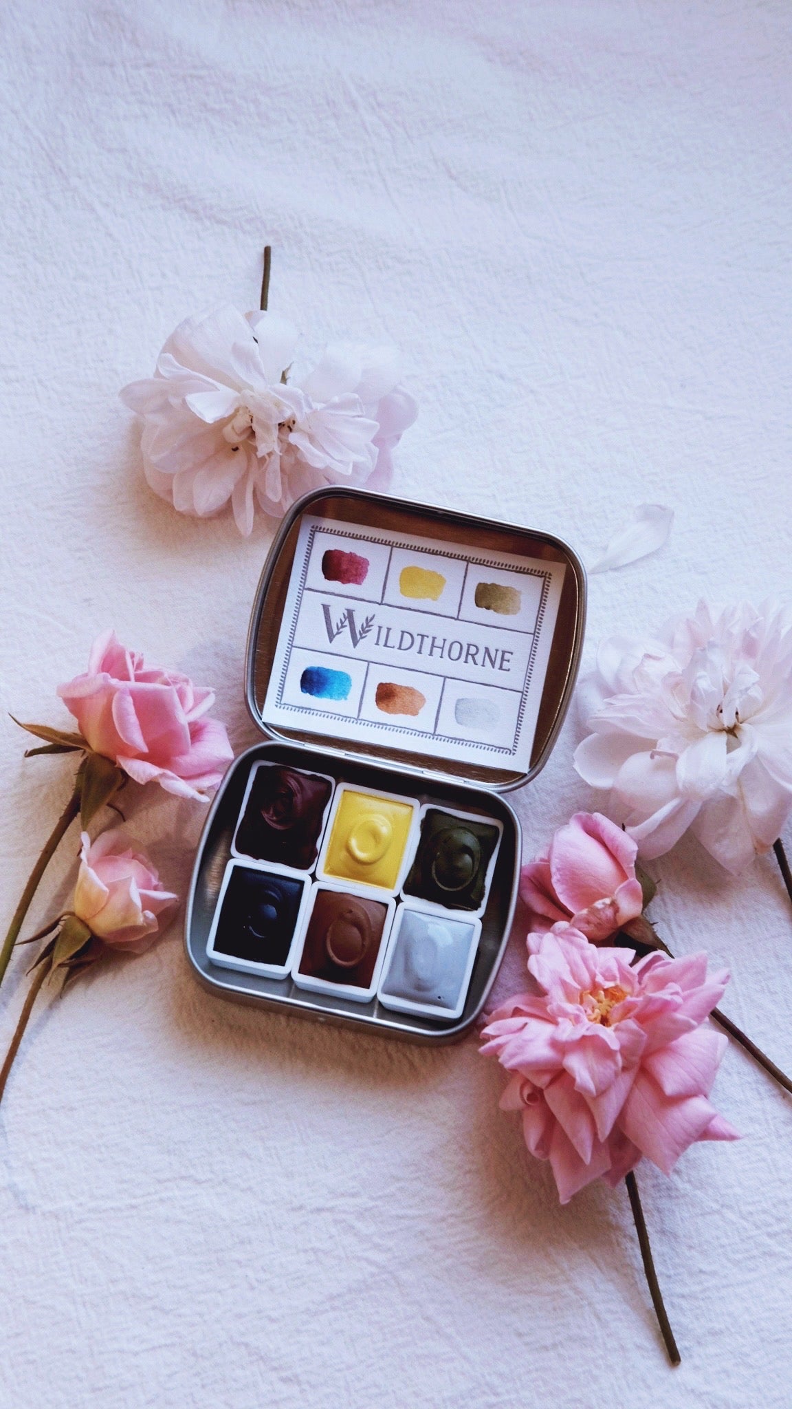 ANTHOPHILA 03 — TURNING HOURS COLLECTION