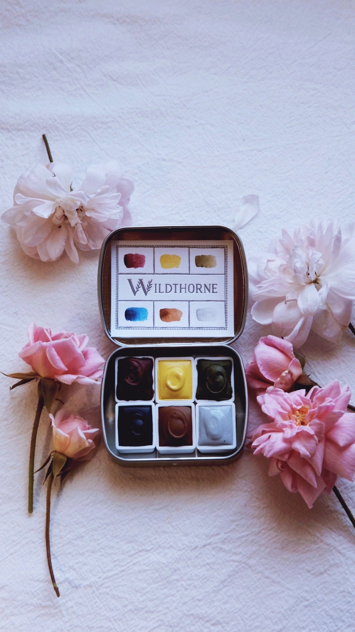 ANTHOPHILA 03 — TURNING HOURS COLLECTION