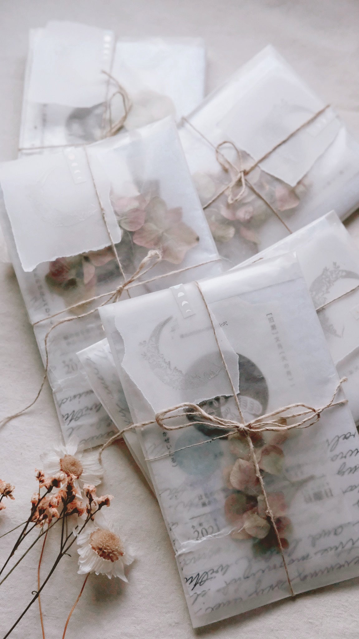 Lunar Letters: A Monthly Envelope of Wonder