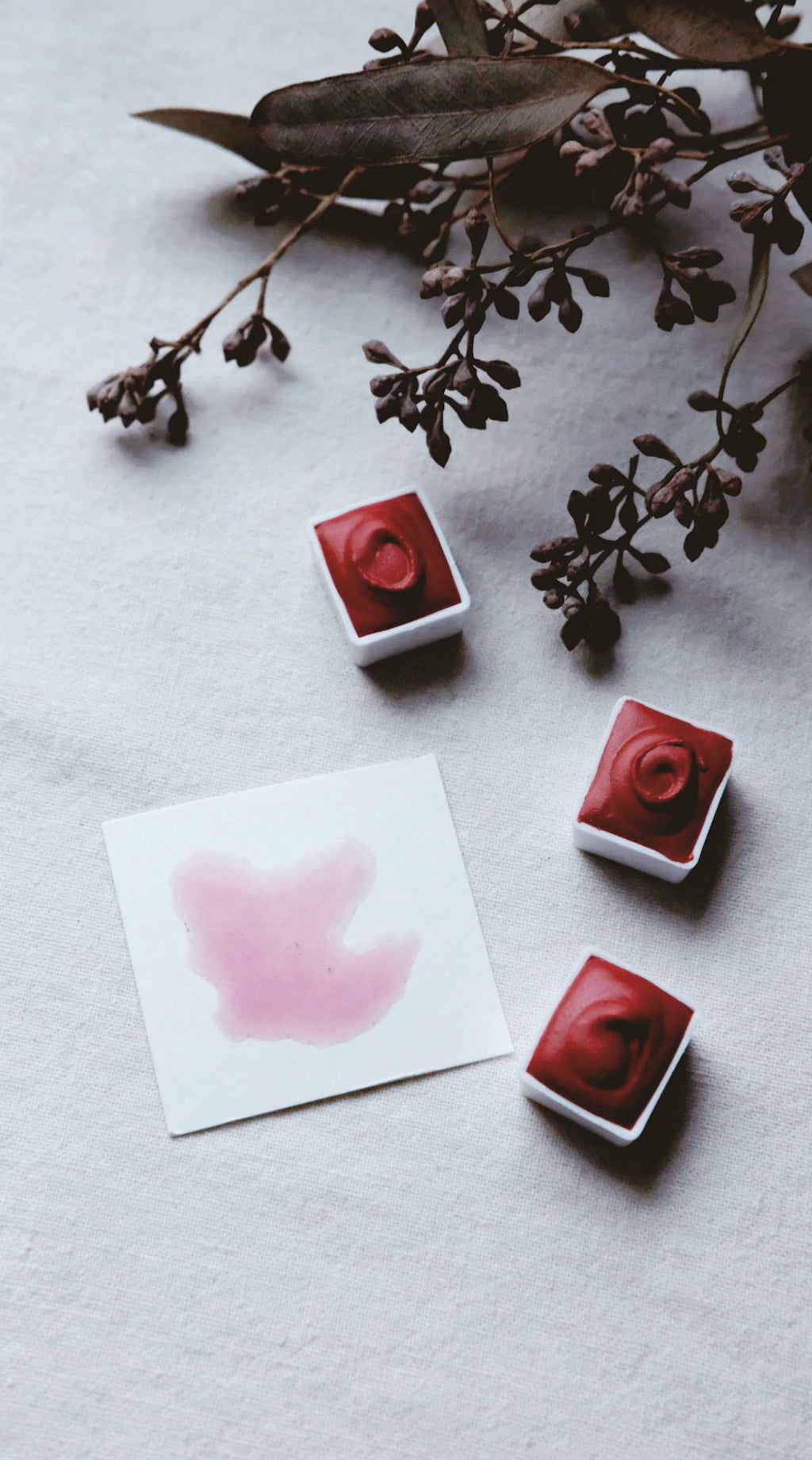 Coral Bells +  mineral watercolor
