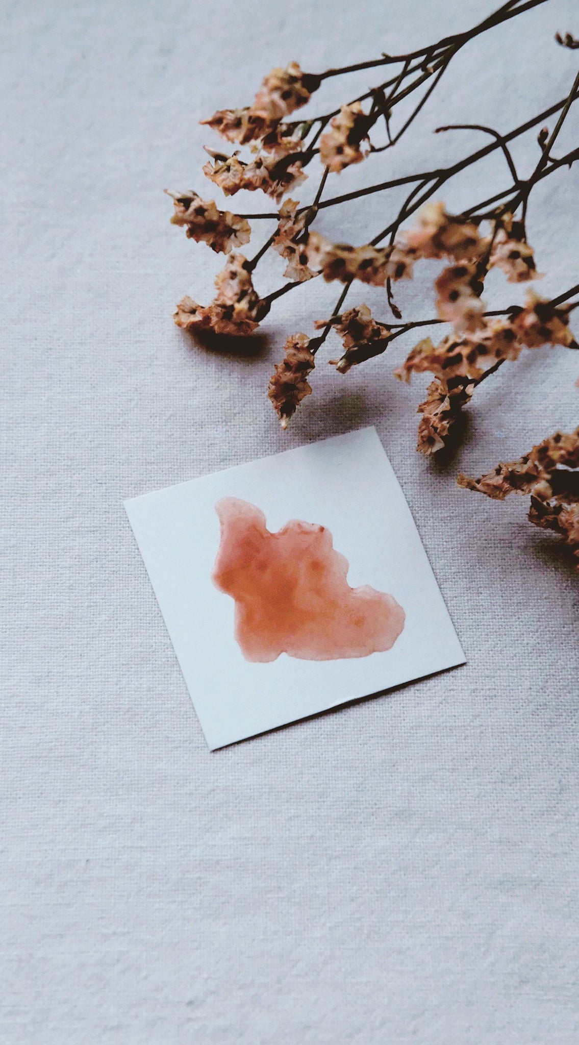 Chaenomeles + limited edition shimmer mineral watercolor